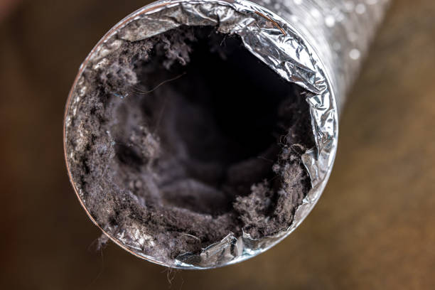 Best Emergency Air Duct Cleaning  in Lyman, MS