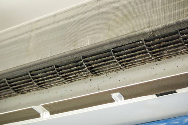 Best Dryer Vent Cleaning Services  in Lyman, MS